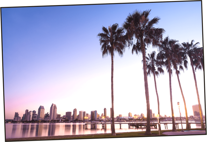 a photo of the city of San Diego with palm trees in the foreground